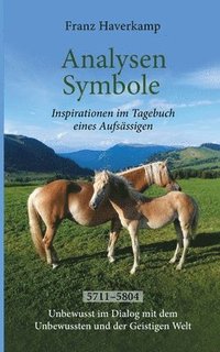 bokomslag Analysen - Symbole 5711-5804: Inspirationen im Tagebuch eines Aufsässigen