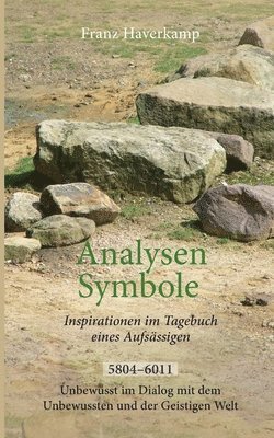 bokomslag Analysen - Symbole 5804-6011