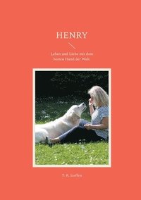 bokomslag Henry