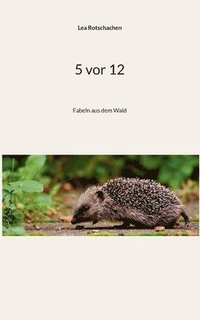 bokomslag 5 vor 12
