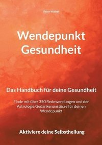 bokomslag Wendepunkt Gesundheit