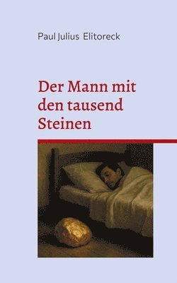 bokomslag Mann mit den tausend Steinen