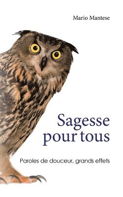 bokomslag Sagesse pour tous