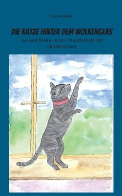 bokomslag Katze hinter dem Wolkenglas