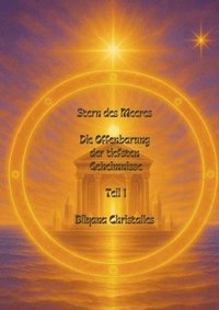 bokomslag Stern des Meeres