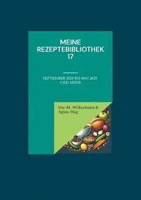 bokomslag Meine Rezeptebibliothek 17
