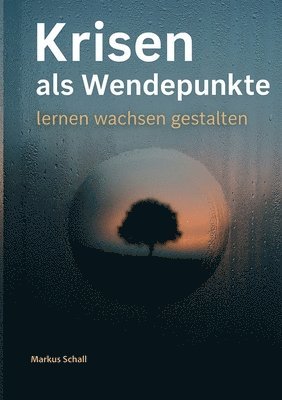 bokomslag Krisen als Wendepunkte