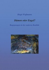 bokomslag Dämon oder Engel?: Begegnungen in der anderen Realität