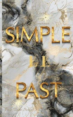 bokomslag Simple Past