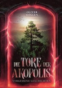 bokomslag Die Tore der Akopolis