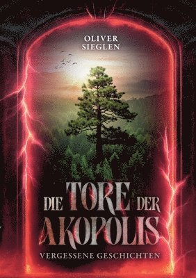 bokomslag Die Tore der Akopolis