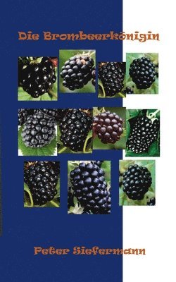 Peter Siefermann - Brombeerkönigin, Häftad