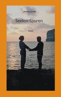 bokomslag Seelen-Spuren