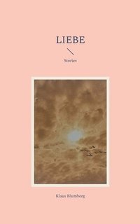bokomslag Liebe: Stories