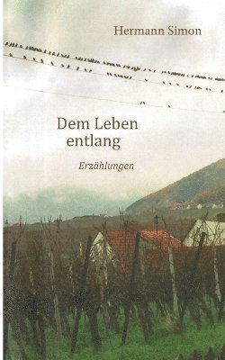 Hermann Simon - Dem Leben entlang, Häftad