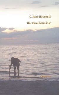 bokomslag Bernsteinsucher