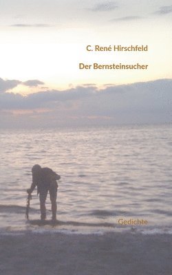 bokomslag Bernsteinsucher