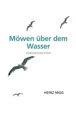bokomslag Möwen über dem Wasser