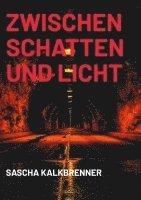 bokomslag Zwischen Schatten und Licht
