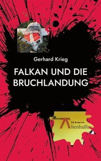 bokomslag Falkan und die Bruchlandung