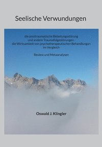 bokomslag Seelische Verwundungen: die posttraumatische Belastungsstörung und andere Traumafolgestörungen - die Wirksamkeit psychotherapeutischer Methoden im Ver