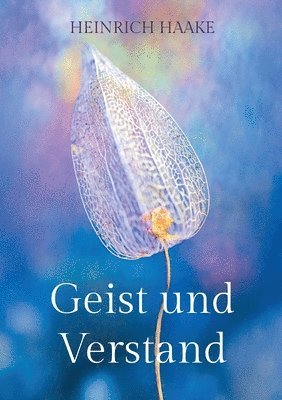 bokomslag Geist und Verstand