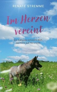 bokomslag Im Herzen vereint