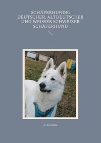 bokomslag Schäferhunde