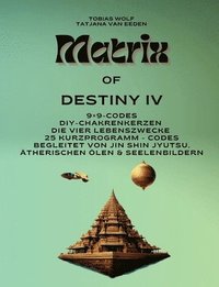 bokomslag Matrix of Destiny