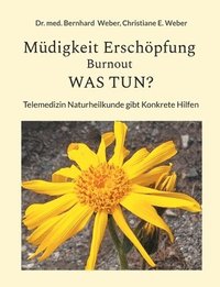 bokomslag Müdigkeit Erschöpfung Burnout was tun?: Telemedizin Naturheilkunde Gibt Konkrete Hilfe