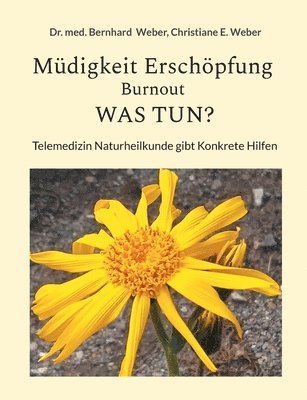 bokomslag Müdigkeit Erschöpfung Burnout was tun?: Telemedizin Naturheilkunde Gibt Konkrete Hilfe