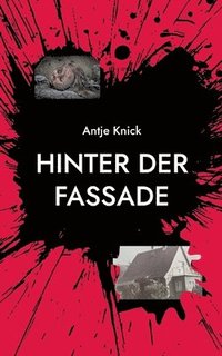 bokomslag Hinter der Fassade