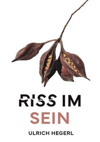 bokomslag Riss im Sein