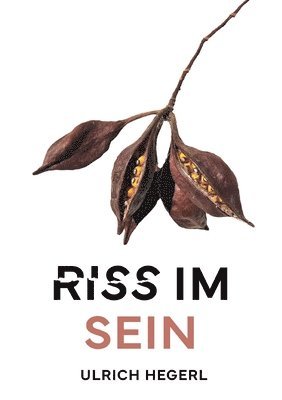 bokomslag Riss im Sein