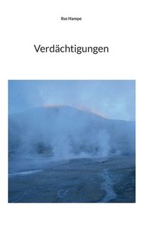 bokomslag Verdächtigungen