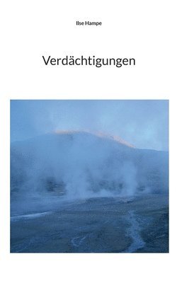 bokomslag Verdächtigungen