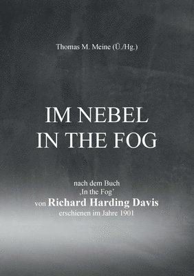 bokomslag Im Nebel - In the Fog
