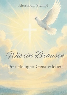 bokomslag Wie ein Brausen