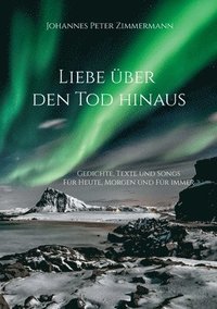 bokomslag Liebe über den Tod hinaus