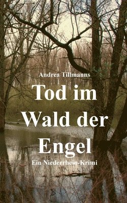 Andrea Tillmanns - Tod im Wald der Engel, Häftad