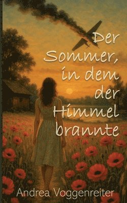 bokomslag Der Sommer, in dem der Himmel brannte: Ein Dorf. Ein Absturz. Ein Fremder, der alles verändert.