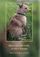 Andreas Schwarz - Wenn nix mäh helft, is mer e Keeder, Häftad