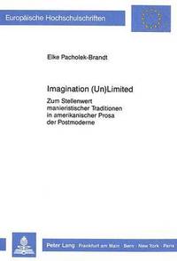 bokomslag Imagination (Un)Limited