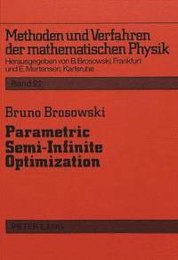 bokomslag Parametric Semi-Infinite Optimization