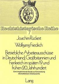 bokomslag Betriebliche Arbeiterausschuesse in Deutschland, Grossbritannien Und Frankreich Im Spaeten 19. Und Fruehen 20. Jahrhundert