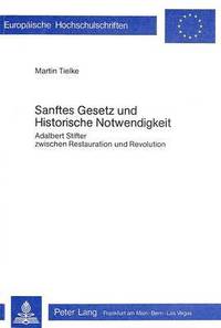 bokomslag Sanftes Gesetz Und Historische Notwendigkeit