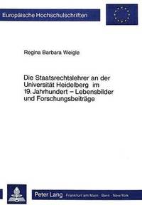 bokomslag Die Staatsrechtslehrer an Der Universitaet Heidelberg Im 19. Jahrhundert - Lebensbilder Und Forschungsbeitraege