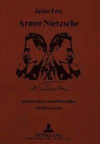 bokomslag Armer Nietzsche