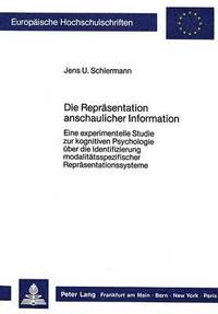 bokomslag Die Repraesentation Anschaulicher Information