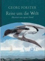 bokomslag Reise um die Welt